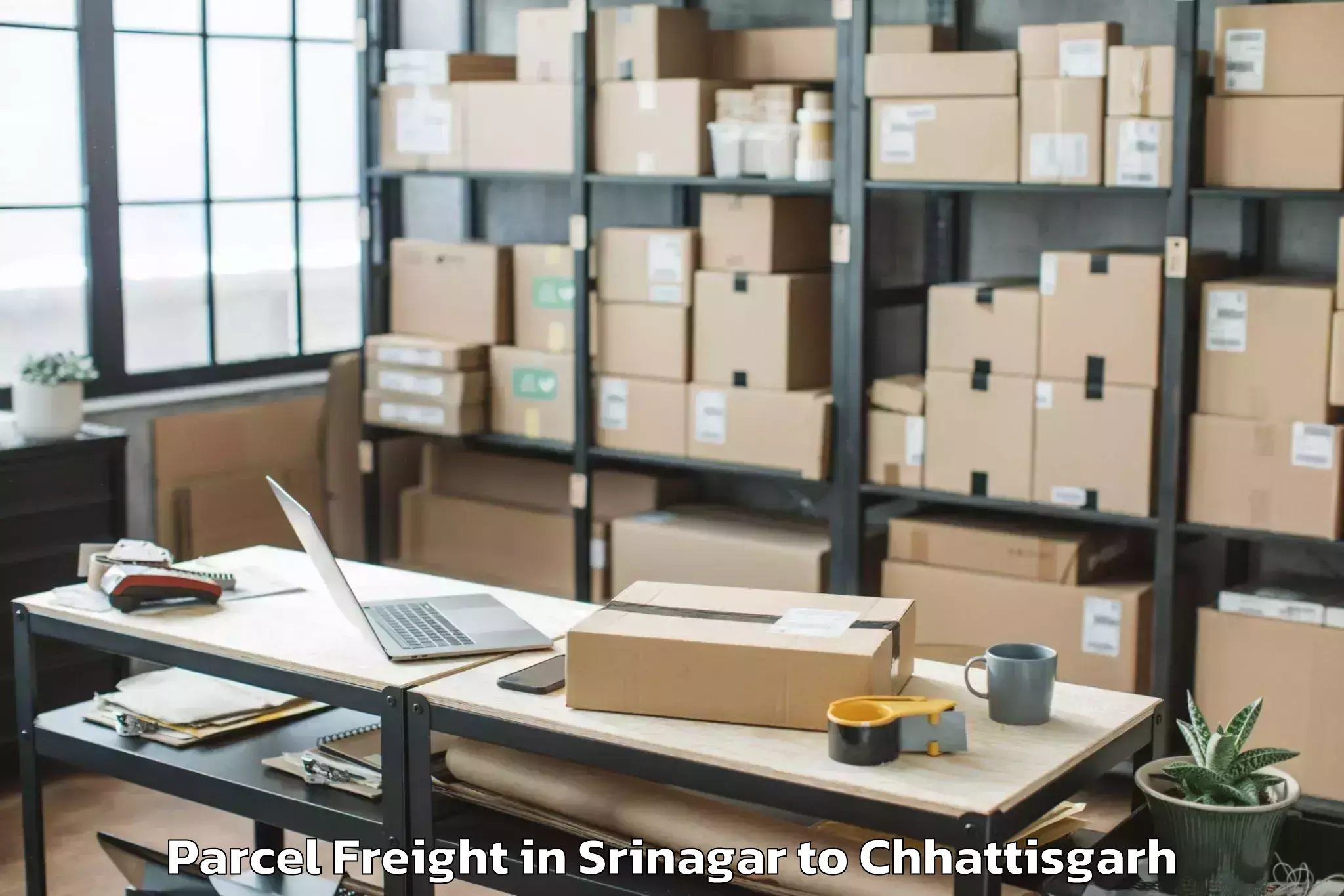 Top Srinagar to Mungeli Parcel Freight Available